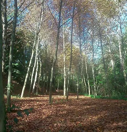 Casa rural Cal Xaiet