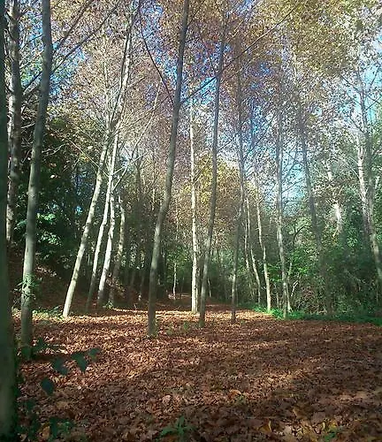 Venkovský dům Cal Xaiet